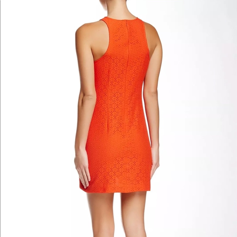CECE Size 6 lace sheath dress NWT - Picture 2 of 5